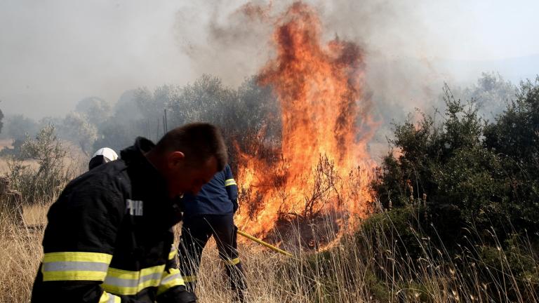 Σε ύφεση η πυρκαγιά στην περιοχή Κάζα στα Βίλια -Επιχειρούν ισχυρές πυροσβεστικές