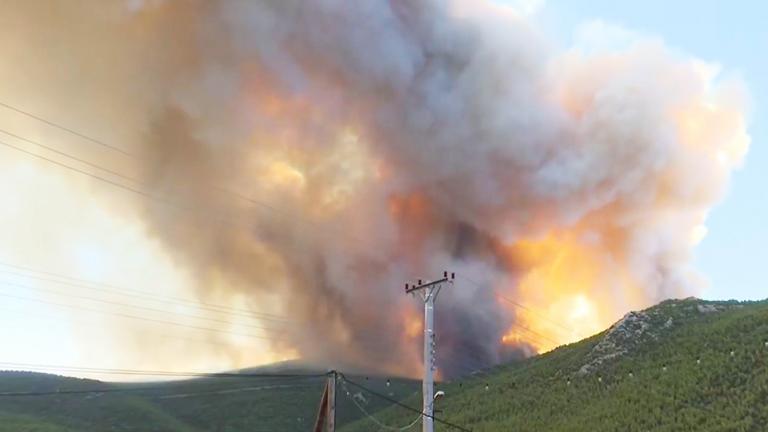 Δραματική η κατάσταση από την πυρκαγιά στα Βίλια, εκκενώθηκαν 5 οικισμοί και γηροκομείοΔραματική η κατάσταση από την πυρκαγιά στα Βίλια, εκκενώθηκαν 5 οικισμοί και γηροκομείο