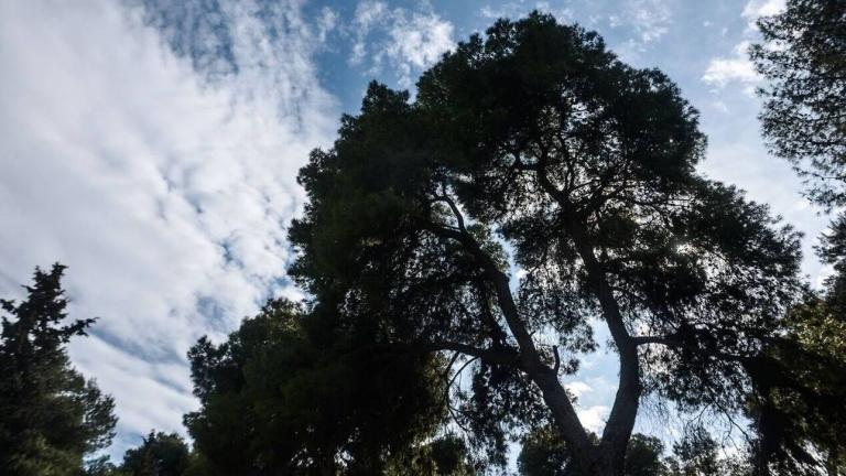 Πού θα κυμανθεί η θερμοκρασία