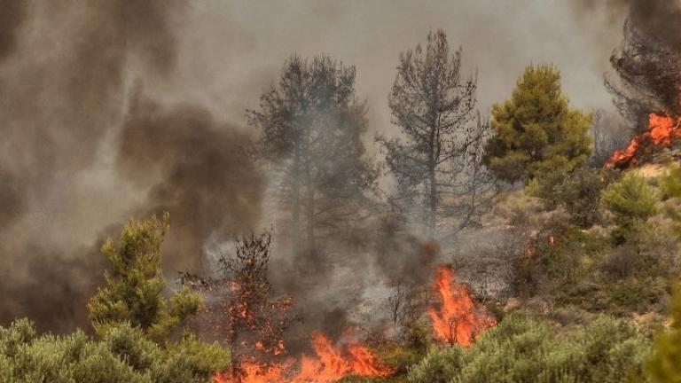 Ναύπακτος: Φωτιά σε δασική έκταση στην περιοχή Ασπριά