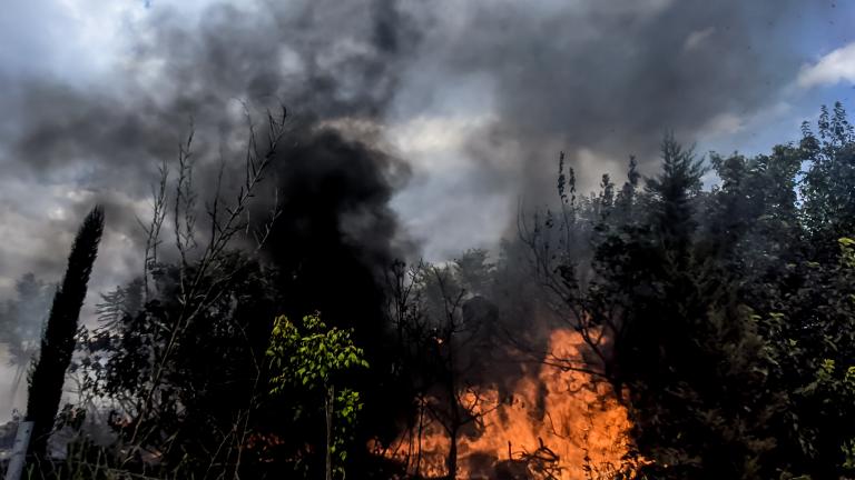 Σε εξέλιξη βρίσκεται πυρκαγιά σε δασική έκταση στην περιοχή Άνω Ψωφίδα, στα Καλάβρυτα Αχαΐας 