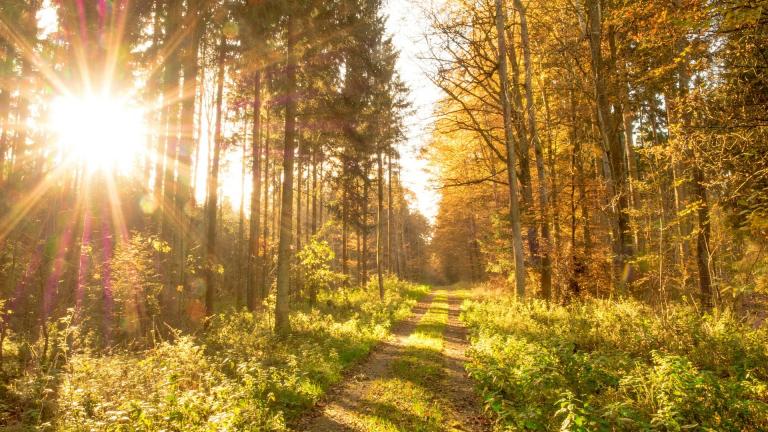 Συνεχίζεται η καλοκαιρία στη χώρα και την Παρασκευή 5/11- Θερμοκρασία σε υψηλά για την εποχή επίπεδα