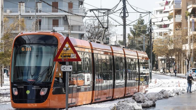 Αποκαθίσταται σταδιακά η λειτουργία λεωφορειακών γραμμών και γραμμών τρόλεϊ του δικτύου. Λεωφορεία και τρόλεϊ, σύμφωνα με νεότερη ενημέρωση του ΟΑΣΑ, πραγματοποιούν από το πρωί δρομολόγια, για τα οποία έχει διαπιστωθεί η δυνατότητα (ολικής ή μερικής) εκτέλεσης τους. Επί του παρόντος σε λειτουργία βρίσκονται 155 λεωφορειακές γραμμές και γραμμές τρόλεϊ.  Προβλήματα εντοπίζονται λόγω παγετού και ολισθηρότητας του οδοστρώματος κυρίως σε γραμμές στις περιοχές Ανατολικής Αττικής , Κηφισιάς, Πεντέλης, Αχαρνών, Φυλ