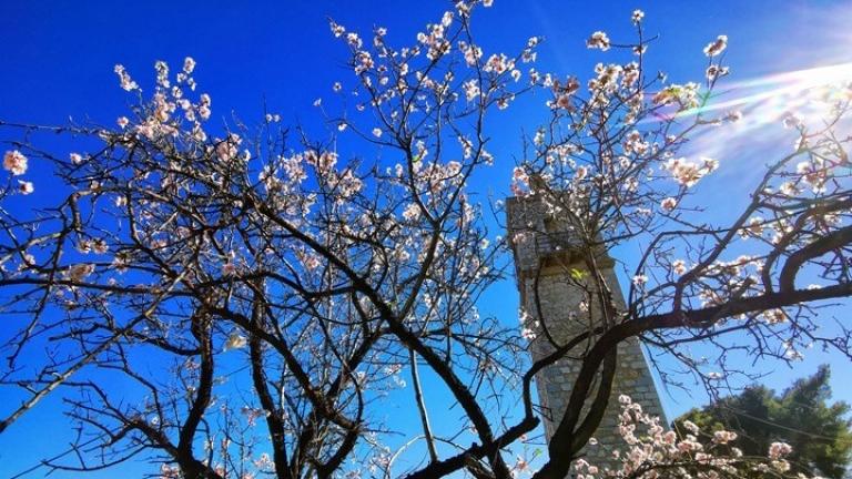 Βελτιωμένος ο καιρός αύριο, με άνοδο της θερμοκρασίας, παροδικές νεφώσεις και πιθανότητα για τοπικές βροχές