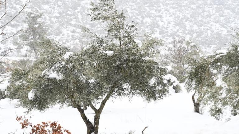 Βροχές και χιόνια σε πολλές περιοχές της χώρας - Πότε θα χιονίσει στην Αττική 