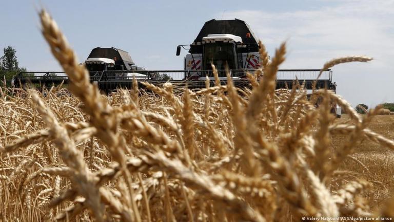 Επισιτιστική κρίση λόγω του πολέμου στην Ουκρανία;