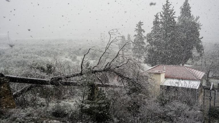 Πολικές θερμοκρασίες το πρωί με έως -16,1 βαθμούς στη Δυτική Μακεδονία