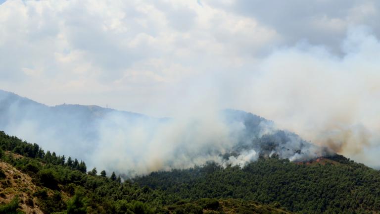 Πυρκαγιά σε αγροτοδασική έκταση στην Βοιωτία