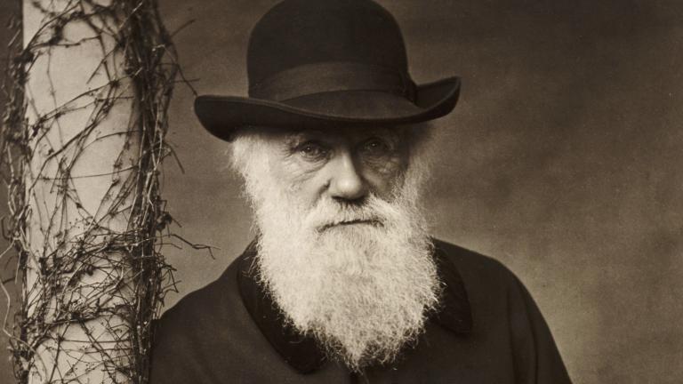 Κέμπριτζ: Επιστράφηκαν μυστηριωδώς δύο σημειωματάρια του Δαρβίνου που είχαν εξαφανιστεί για 20 χρόνια