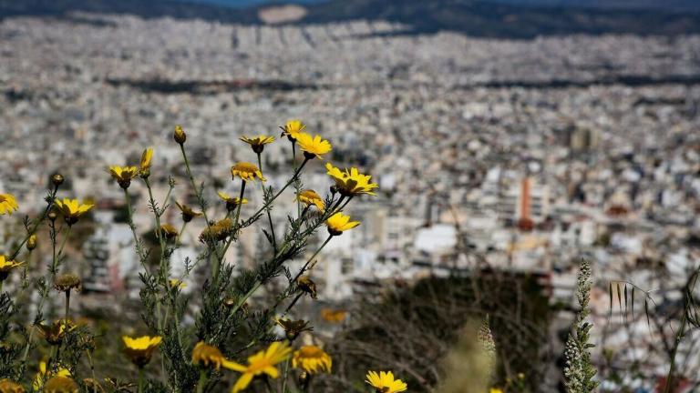 "Κορωνοϊός (08/4): 14.763 νέα κρούσματα, 360 διασωληνωμένοι και 51 νέοι θάνατοι (234323)"