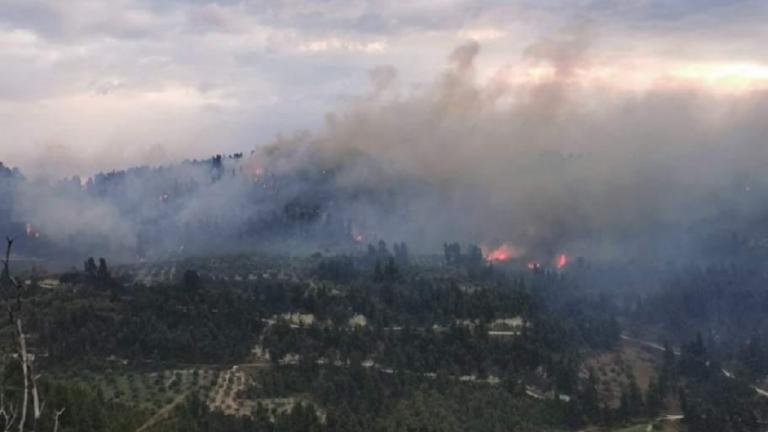 Επικίνδυνη φωτιά μαίνεται στην Κασσάνδρα Χαλκιδικής - Στη μάχη 4 Canadair (ΦΩΤΟ)