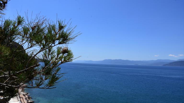 Καιρός (24/5): Γενικά αίθριος με λίγες τοπικές βροχές 