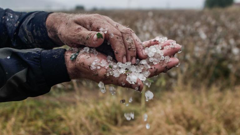 Λάρισα: Ζημιές από την κακοκαιρία "GENESIS"