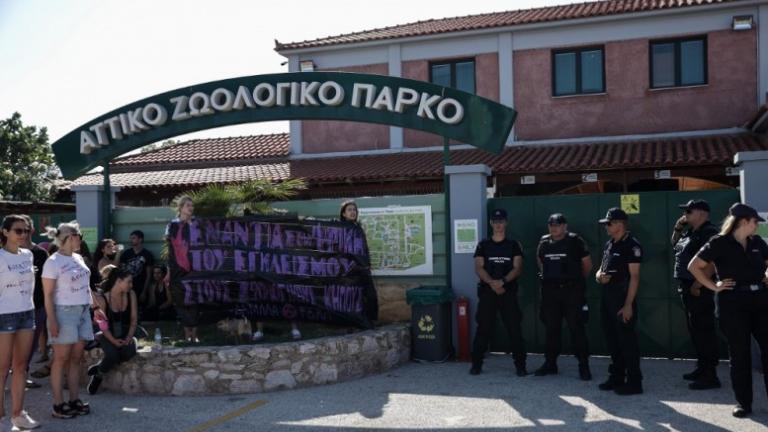  Αττικό Ζωολογικό Πάρκο: Ξεκίνησε η προανάκριση για τη θανάτωση του χιμπατζή