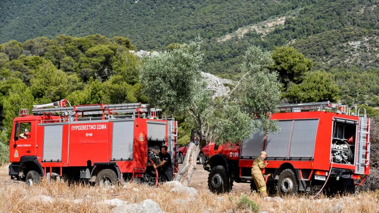 ΑΚΟΛΟΥΘΗΣΤΕ ΜΑΣ ΣΤΟ GOOGLE NEWS ΚΑΝΟΝΤΑΣ ΚΛΙΚ ΕΔΩ