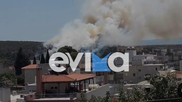 Φωτιά ξέσπασε το μεσημέρι της Τρίτης 28 Ιουνίου σε δασική έκταση στον Δήμο Κύμης-Αλιβερίου 