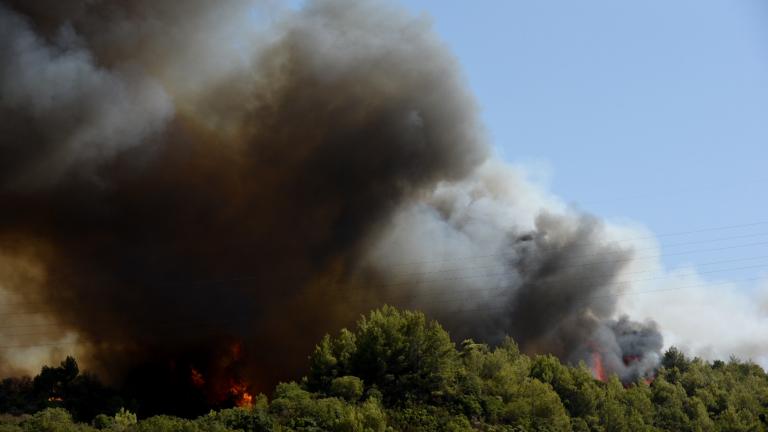 Αλεξανδρούπολη: Πυρκαγιά σε μεικτό δάσος πεύκου και δρυός στο Αετοχώρι