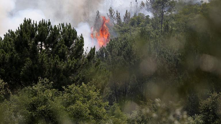 Πολλές χώρες της δυτικής Ευρώπης εξακολουθούν και σήμερα να δίνουν μάχη με τις καταστροφικές δασικές πυρκαγιές, μια συνέπεια του πρωτοφανούς καύσωνα που βιώνουν εδώ και ημέρες και ο οποίος απειλεί να «συντρίψει» πολλά ρεκόρ μέγιστης θερμοκρασίας στις αρχές αυτής της εβδομάδας.  Αυτό το κύμα ζέστης είναι το δεύτερο που σαρώνει τη δυτική Ευρώπη μέσα σε λιγότερο από έναν μήνα. Ο πολλαπλασιασμός αυτών των φαινομένων θεωρείται άμεση συνέπεια στης υπερθέρμανσης του πλανήτη, καθώς οι εκπομπές αερίων που προκαλούν 