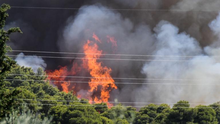 Πολύ υψηλός κίνδυνος πυρκαγιάς (κατηγορίας 4) προβλέπεται από την Γενική Γραμματεία Πολιτικής Προστασίας για την Δευτέρα 18 Ιουλίου