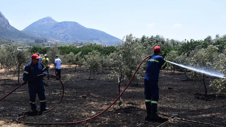 Συναγερμός στην Πυροσβεστική: Φωτιά στην Παλλήνη - Υπάρχουν διάσπαρτα σπίτια