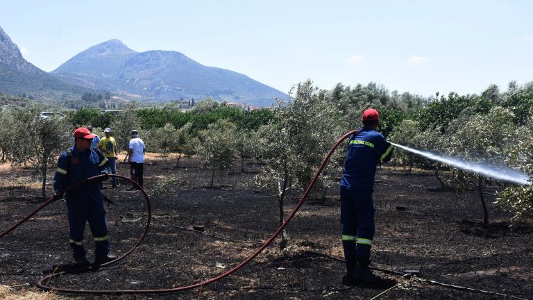 Πύργος: Υπό μερικό έλεγχο η φωτιά σε δασική έκταση - Παραμένουν στο σημείο ισχυρές πυροσβεστικές δυνάμεις για τυχόν αναζωπυρώσεις