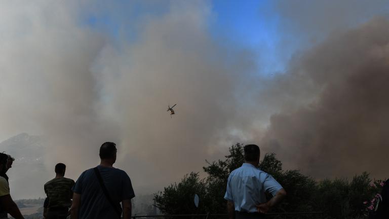 Πυρκαγιά στην Ηλεία: Υπό έλεγχο οι νέες αναζωπυρώσεις της φωτιάς στην περιοχή Κορυφή