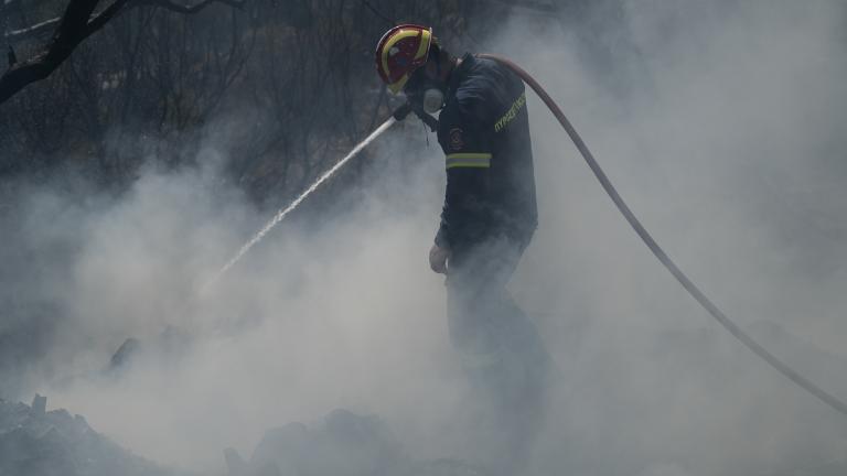 Φωτιά τώρα στην περιοχή Καλαμάκι της Δυτικής Αχαΐας