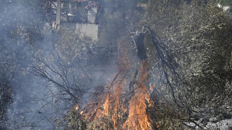 Συγκεκριμένα, σύμφωνα με το Χάρτη Πρόβλεψης Κινδύνου Πυρκαγιάς που εκδίδει η Γενική Γραμματεία Πολιτικής Προστασίας του υπουργείου Κλιματικής Κρίσης και Πολιτικής Προστασίας (www.civilprotection.gr), για αύριο Κυριακή 17 Ιουλίου 2022, προβλέπεται πολύ υψηλός κίνδυνος πυρκαγιάς (κατηγορία κινδύνου 4) για τις εξής περιοχές:  Περιφέρεια Αττικής Περιφέρεια Στερεάς Ελλάδας (ΠΕ Βοιωτίας, ΠΕ Εύβοιας) Περιφέρεια Πελοποννήσου (ΠΕ Κορινθίας, ΠΕ Αργολίδας) Περιφέρεια Κρήτης Περιφέρεια Βορείου Αιγαίου (ΠΕ Χίου, ΠΕ Σάμο