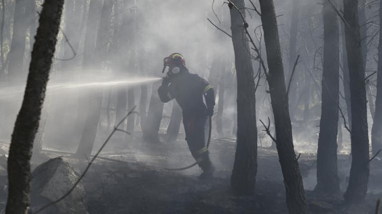 Πυρκαγιά στο Πόρτο Γερμενό: Βελτιωμένη εικόνα παρουσιάζει η φωτιά σε δασική έκταση  - Προληπτική απομάκρυνση των κατοίκων του οικισμού Μύτικα