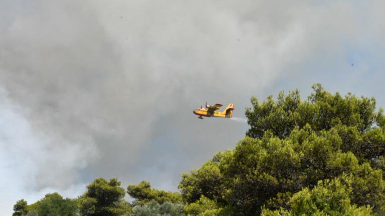 Την προληπτική εκκένωση των περιοχών Πλατανόβρυση και Αγία Παρασκευή στην Αχαΐα ζήτησε το υπουργείο Κλιματικής Κρίσης και Πολιτικής Προστασίας, με μήνυμα που εστάλη από το 112.  Οι αρχές κάλεσαν τους κατοίκους να εκκενώσουν τα χωριά και να μετακινηθούν προς τη Χαλανδρίτσα. Ωστόσο, σύμφωνα με πληροφορίες,  η εκκένωση έγινε προληπτικά, καθώς υπήρχαν αναφορές για καπνό, ενώ μέχρι και τις 19:00 το απόγευμα, δεν υπήρχε άμεση απειλή για τους οικισμούς.   Η φωτά βρίσκεται σε εξέλιξη σε αγροτικές και δασικές εκτάσε