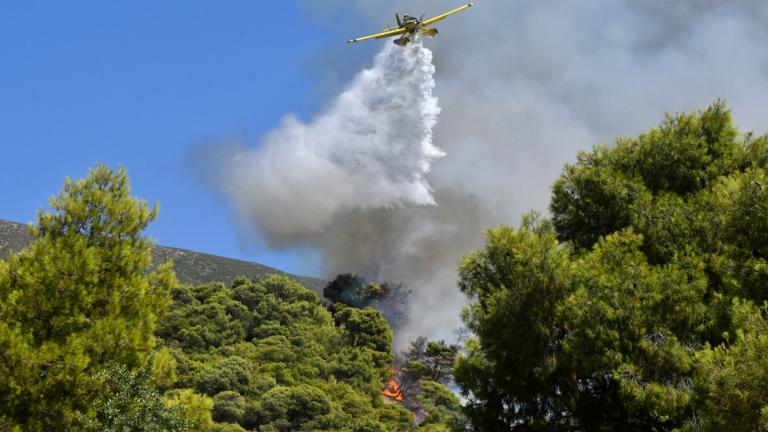 Φωτιές σήμερα: 71 δασικές πυρκαγιές εκδηλώθηκαν τις τελευταίες 24 ώρες σε όλη τη χώρα. Οι περισσότερες αντιμετωπίστηκαν άμεσα, στο αρχικό τους στάδιο.  Στην αγροτοδασική πυρκαγιά που εκδηλώθηκε σήμερα το μεσημέρι στην Καλλιθέα Πατρών και όπου δόθηκε το 112 για εκκένωση στους οικισμούς Αγία Παρασκευή και Πλατανόβρυση προς Χαλανδριτσα, επιχειρούν αυτή την ώρα 118 πυροσβέστες, με 6 ομάδες πεζοπόρων τμημάτων, 35 οχήματα, 4 Α/Φ και 6 Ε/Π εκ των οποίων το 1 Ε/Π για εναέριο συντονισμό. Συνδρομή παρέχουν υδροφόρες 