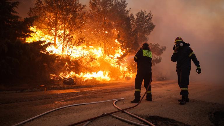 Μεγάλη φωτιά στην Πεντέλη: Έκκληση της Ειδικής Γραμματείας Προστασίας Ζώων Συντροφιάς για τα πυρόπληκτα ζώα -  Μην τα αφήνετε αβοήθητα, δεμένα και εγκλωβισμένα