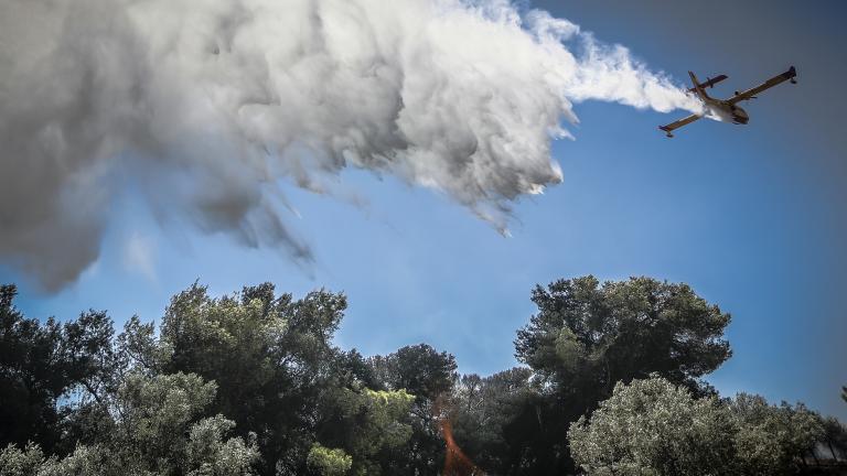 Φωτιά στα Μέγαρα:  Δυναμώνει το μέτωπο - Απειλούνται σπίτια