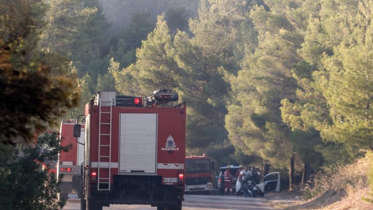 Πυρκαγιά ξέσπασε σε αγροτοδασική έκταση στον Δήμο Μάνδρας- Ειδυλλίας Αττικής.