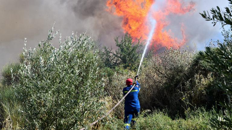 Σε εξέλιξη η μεγάλη πυρκαγιά στο Δίστομο