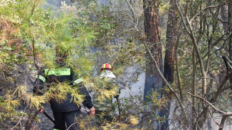 Φωτιές σήμερα: Στις 53 οι δασικές πυρκαγιές το τελευταίο 24ωρο