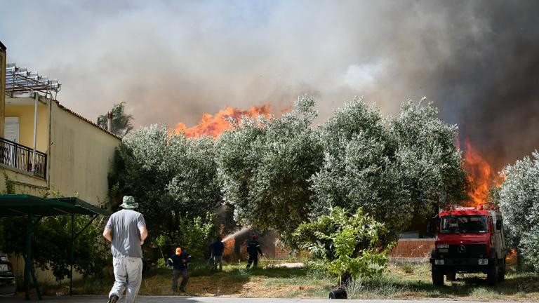 Στα 16.300 στρέμματα υπολογίζεται η καταστροφή