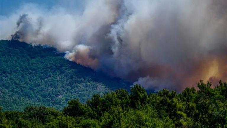 Φωτιά και στη Σπιάντζα Ηλείας