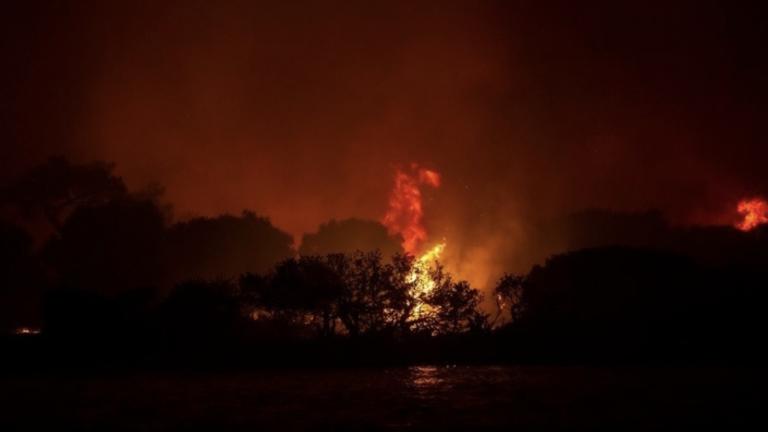 Ηλεία: Ολονύχτια μάχη με τις φλόγες δίνουν πυροσβέστες και κάτοικοι