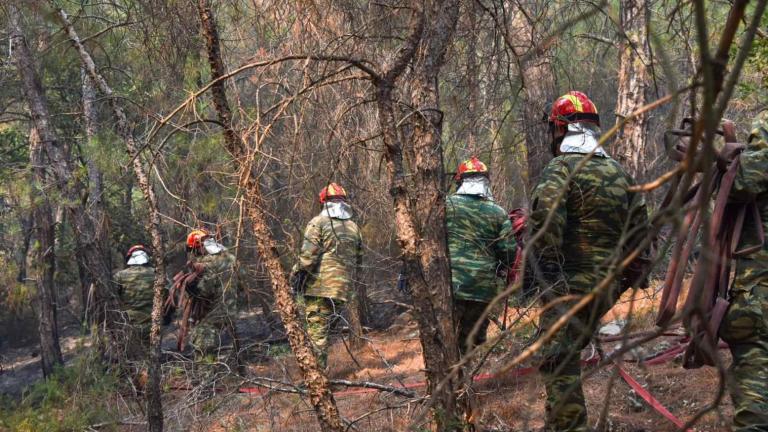 Μεγάλη η πυρκαγιά στη Δαδιά - Πυροσβεστική: «Στον Έβρο έχουμε πρόβλημα»