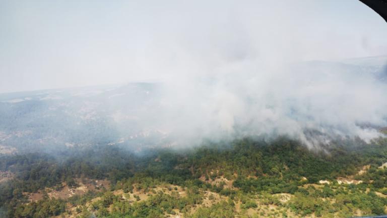 Τι συμβαίνει πραγματικά στη Δαδιά