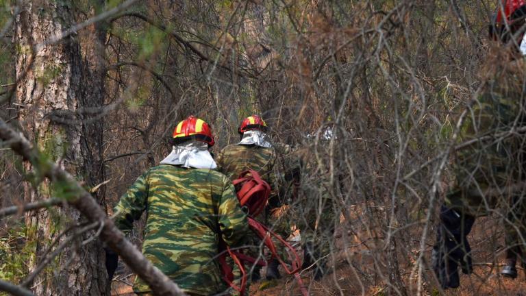 Οι εναλλαγές του ανέμου δυσχεραίνουν το έργο της κατάσβεσης στη Δαδιά