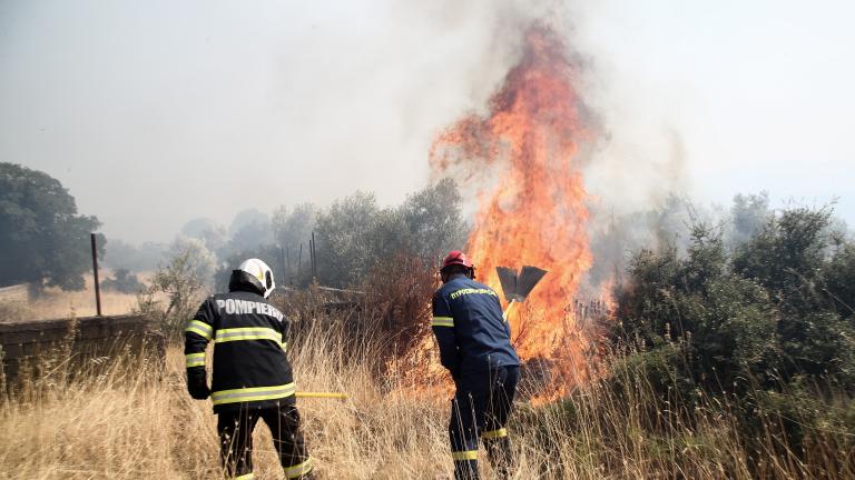 Φωτιά τώρα στα Μέγαρα - Εκκενώνεται οικισμός 