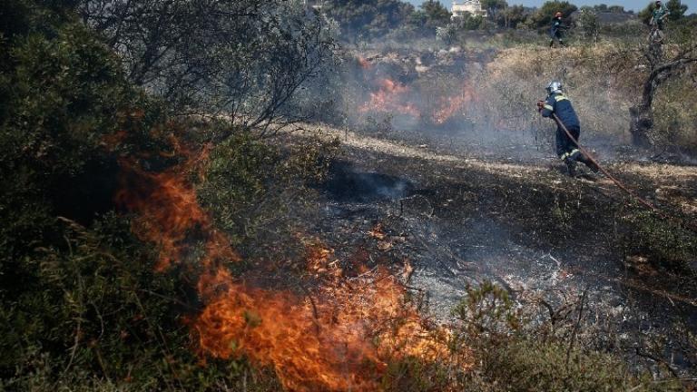 Φωτιά τώρα στη Λύρα Σουφλίου