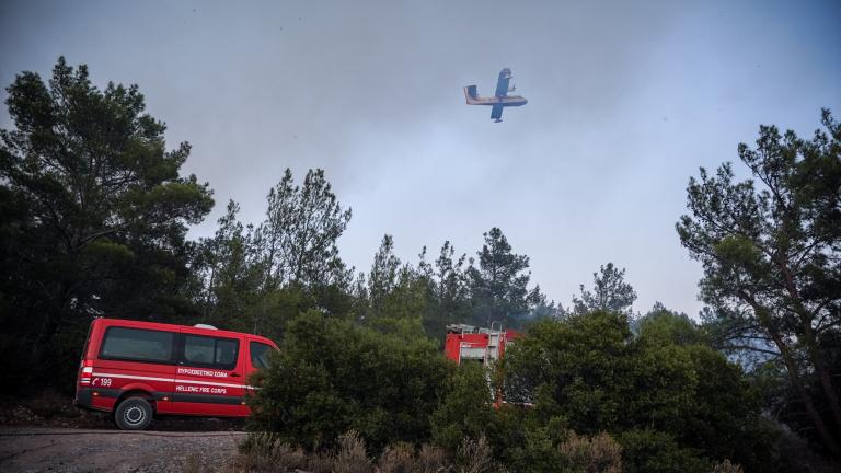 lesvos fotia