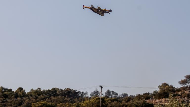 Μέτρα για την πρόληψη πυρκαγιών από εμπρησμούς ζητεί ο εισαγγελέας από την αστυνομία