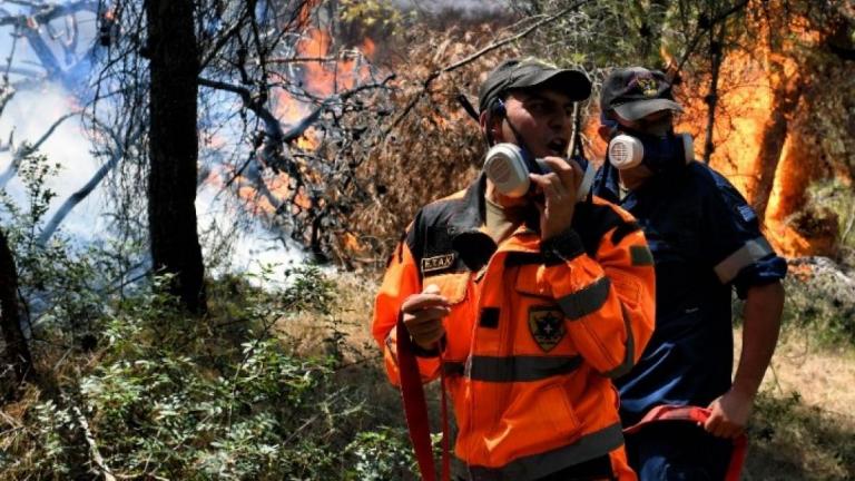  Φωτιά στην περιοχή Τραγανό του δήμου Πηνειού