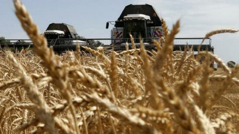Πάνω από μισό εκατομμύριο τόνοι σιτηρά εξήχθησαν από την Ουκρανία 