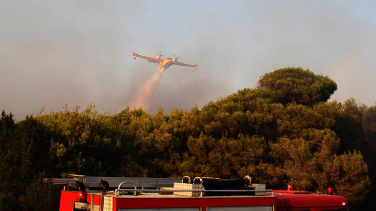 Μεγάλη φωτιά στον Πύργο: Καίει δασική έκταση κοντά στην γέφυρα του Αλφειού ποταμού