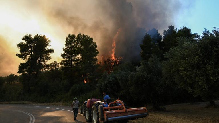 Πύργος Ηλείας: Μεγάλη φωτιά στην περιοχή Σπιάντζα κοντά σε κατοικημένη περιοχή